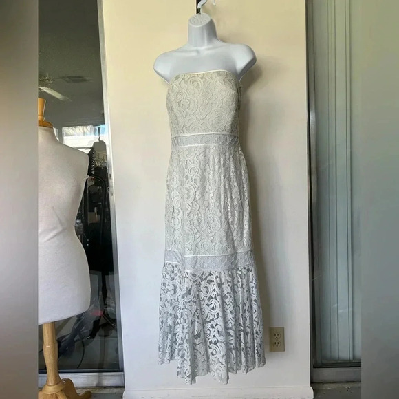 Tadashi Shoji Ivory and Ice trumpet strapless formal gown lace Size 8 - Picture 4 of 15